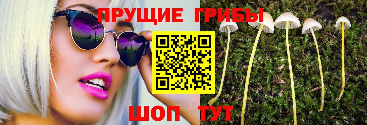 Псилоцибиновые грибы ЛСД  Вход с VPN  Псилоцибиновые грибы GOLDEN TEACHER  Вольск 